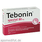 Tebonin spezial 80mg 120 St.
