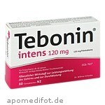 Tebonin intens 120mg 60 St.
